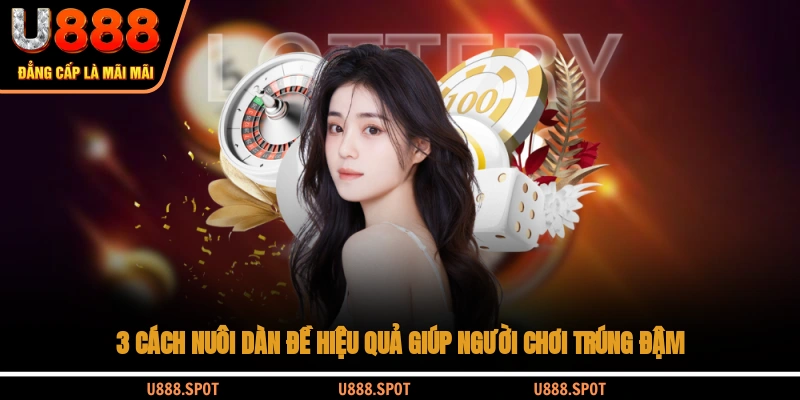 3 Cách Nuôi Dàn Đề Hiệu Quả Giúp Người Chơi Trúng Đậm