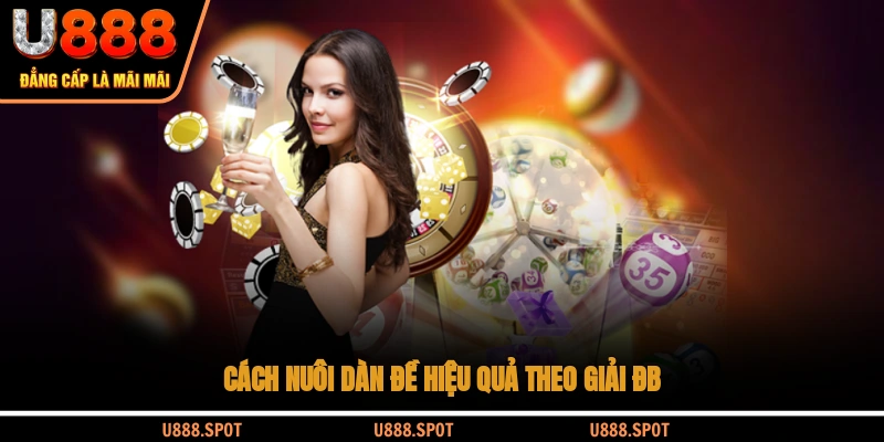 Cách nuôi dàn đề hiệu quả theo giải ĐB